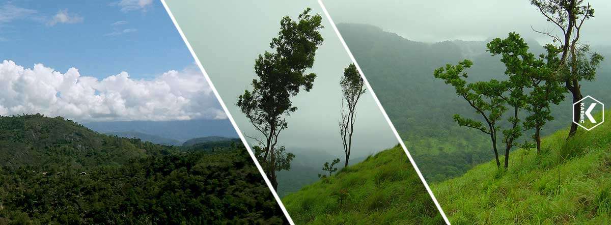 Painavu - Idukki, Kerala